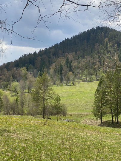 Участок 13,5 га (СНТ, ДНП)