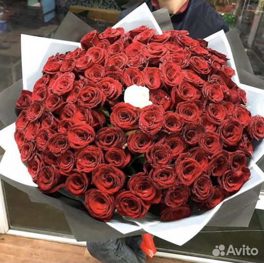 101 Роза (Ред Наоми)