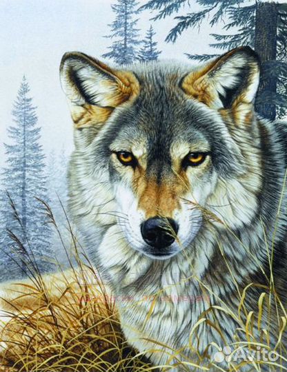 Алмазная мозаика 40x50 Серьезный волк на фоне серо