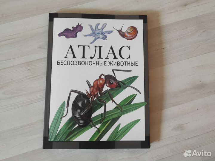 Атлас Беспозвоночные животные