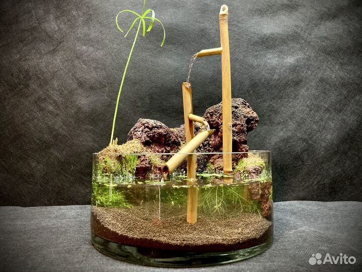 Японский водопадик