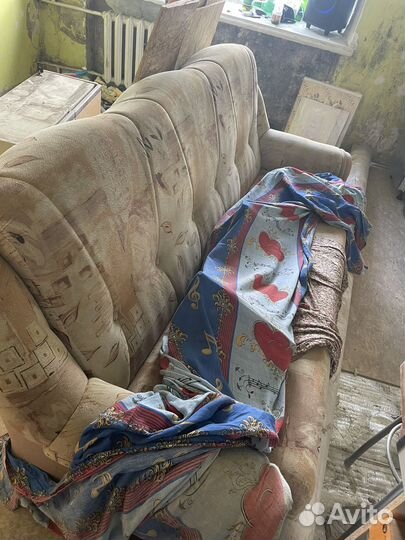 Отдам бесплатно