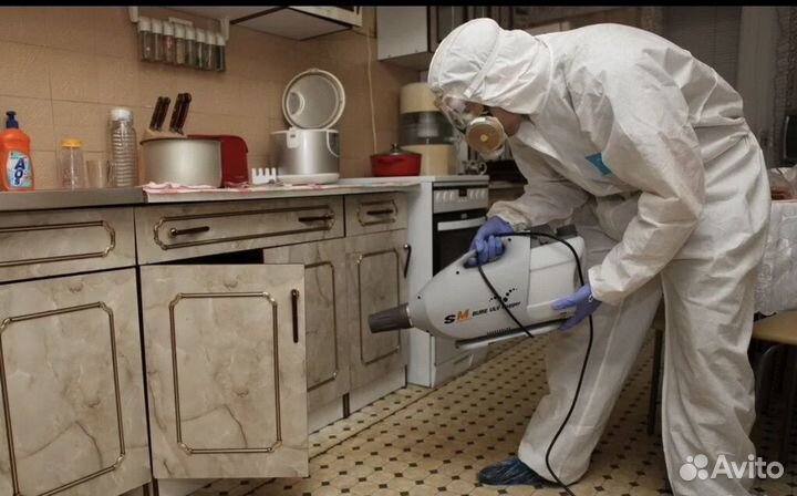 Уничтожение тараканов клопов клещей комаров ос мух