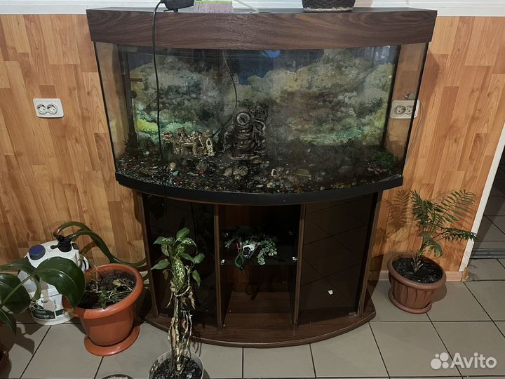 Аквариум