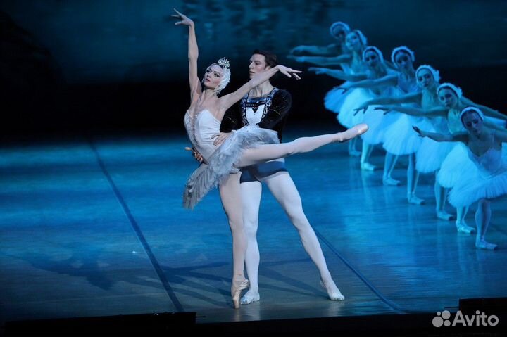 Билеты на балет Лебединое озеро в Большой театр
