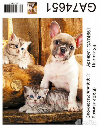 Алмазная мозаика 40x50 Французский бульдог и котят