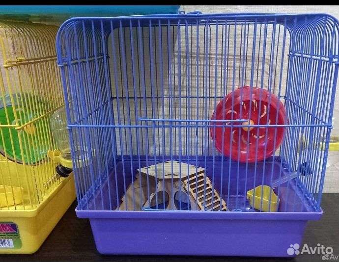 Хомячки персиковые+Клетки