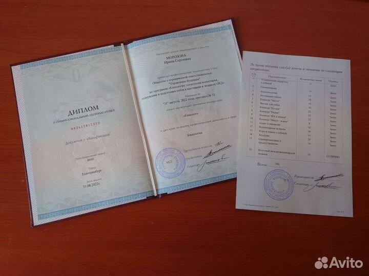 Дипломированный кинолог в Калининграде и онлайн