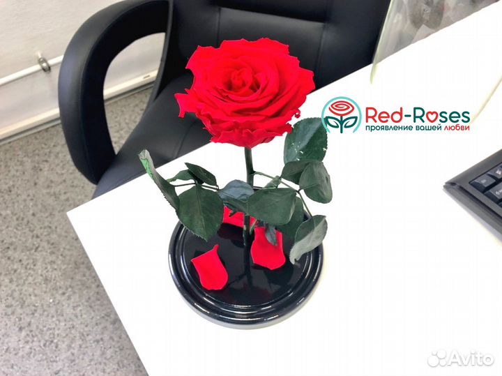 Красная вечная роза в колбе