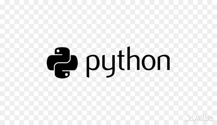 Python программист