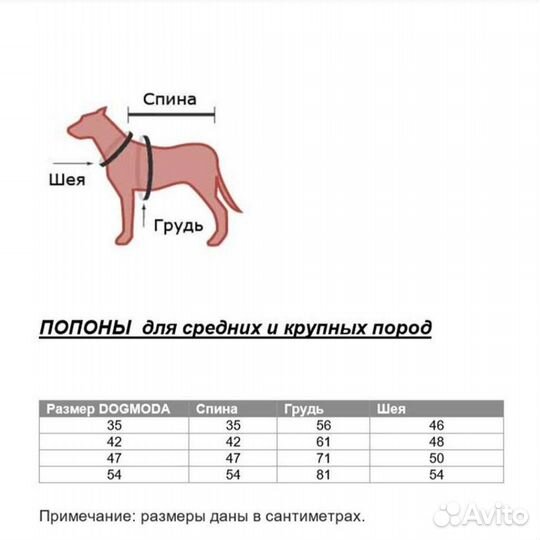 Одежда для животных