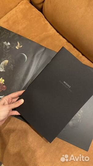 Винил mujuice downshifting