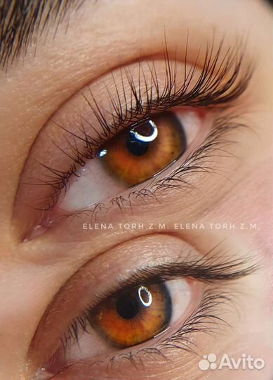 Работа мастер бровист/ламимэйкер/лашмэйкером