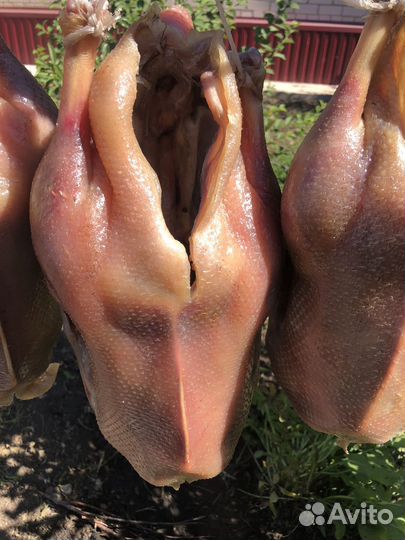 Гусь вяленый