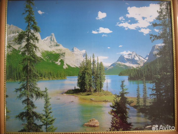 Продаю картину