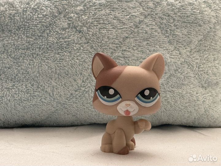 Littlest pet shop лизачка и бассет хаунд