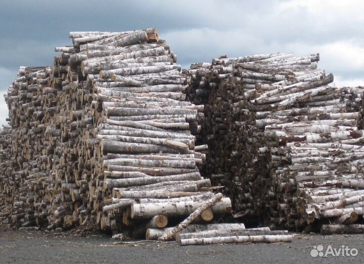 Березовый уголь