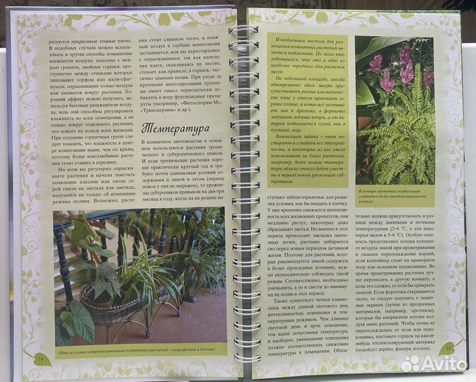 Книга «Лучшие комнатные цветы» авт. Волкова Е. А