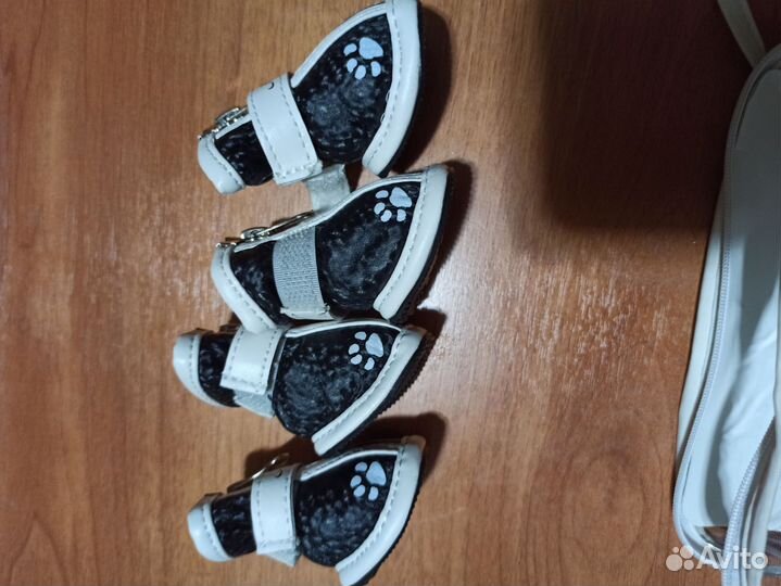 Обувь для животных