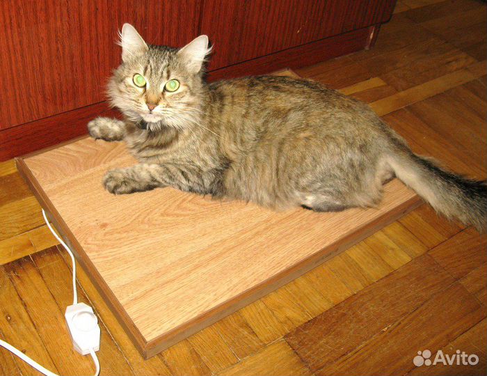 Теплый пол для домашних животных