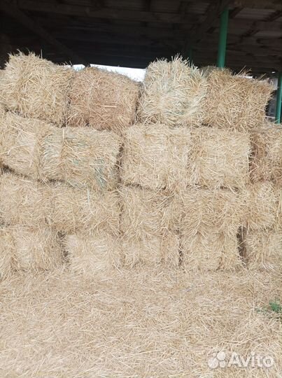 Солома в тюках ячменая, пшеничная Яровая 2024 года