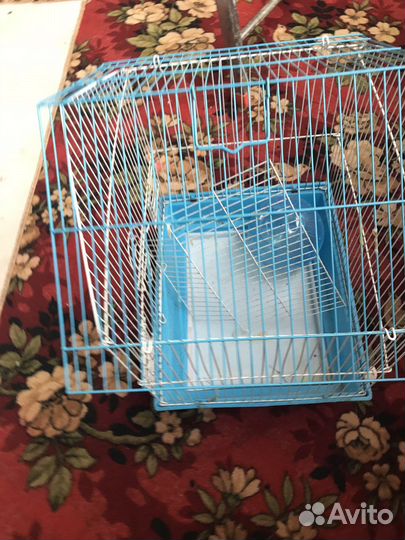 Клетка для хомяка(попугая)