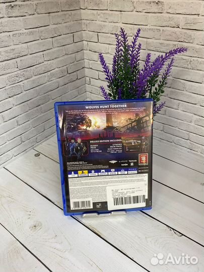 Диск PS4 Wolfenstein youngblood