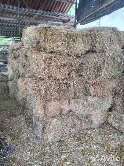 Сено и солома в тюках