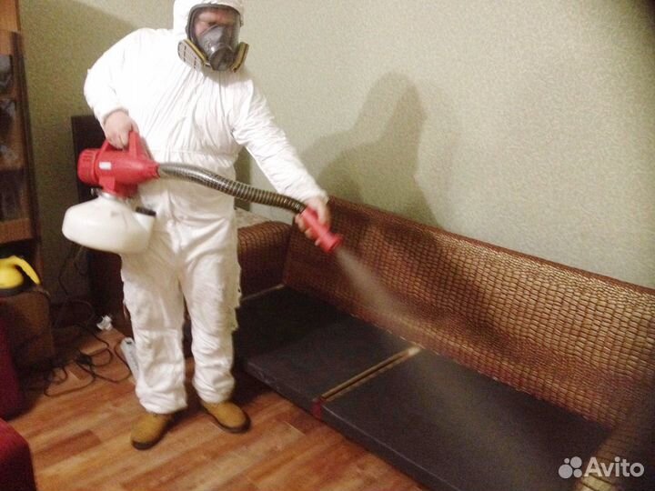 Уничтожение тараканов клопов грызунов дезинфекция