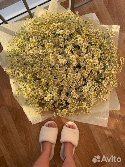 Букет ромашек