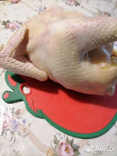 Мясо домашних кур (не бролеры)