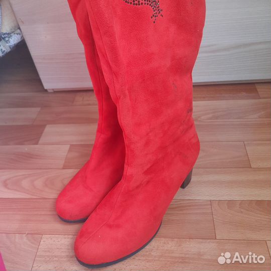 Сапоги женские ботфорты