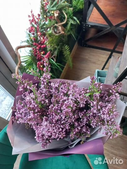 Сирень Букеты из сирени с доставкой