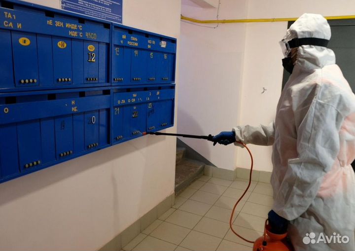 Уничтожение клопов, тараканов, грызунов, блох