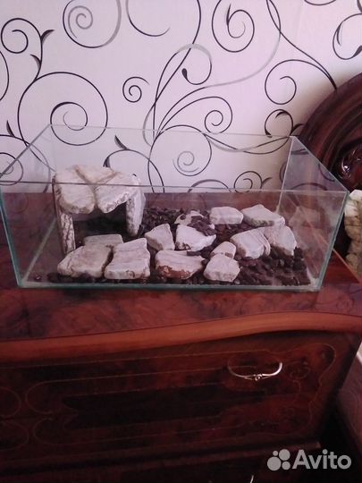 Небольшой акварриум