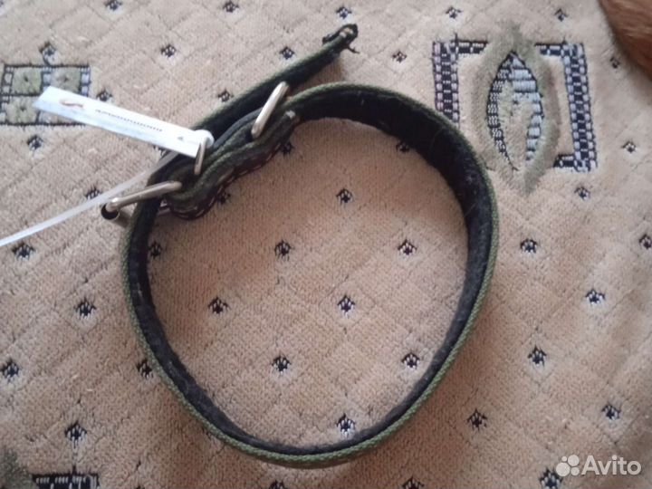 Ошейник для собак