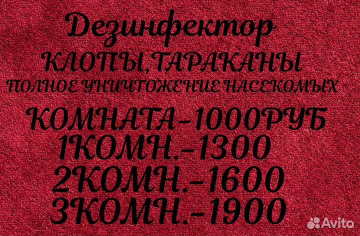 Дезинсекция,травля,уничтожение насекомых. Клининг