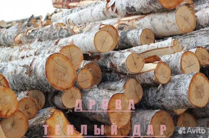Дрова