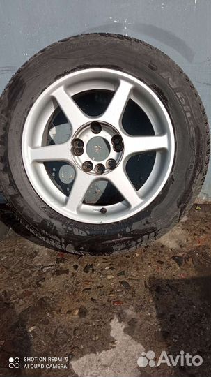 Milestone Winter R15