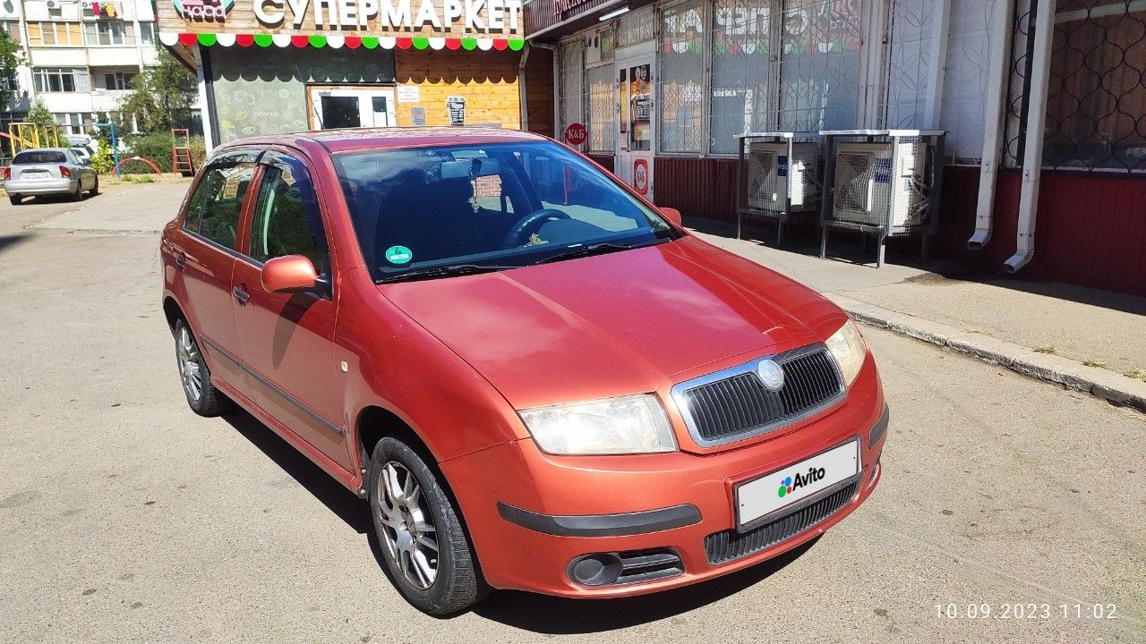 Skoda Fabia: фото владельца