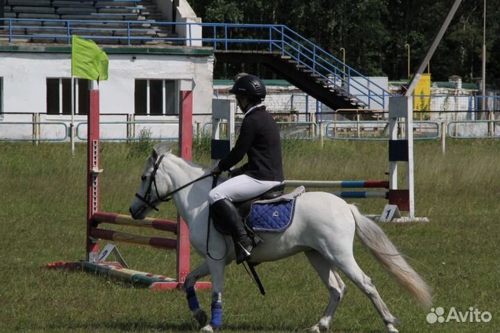 Продажа пони