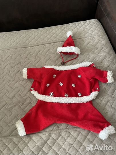 Костюм деда мороза на маленькую собаку