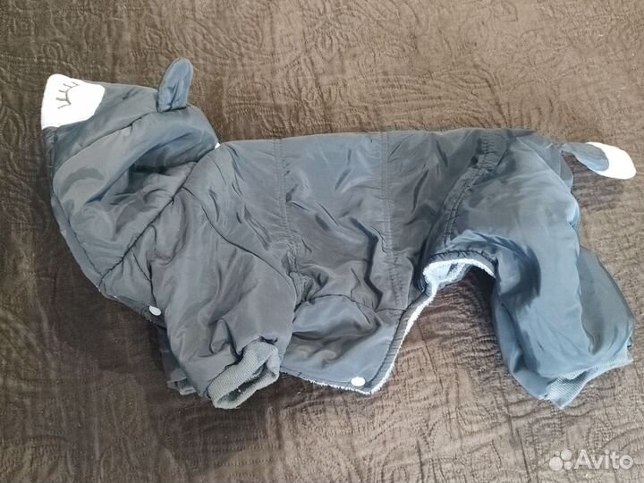 Комбинезон для собак (фр.бульдог)