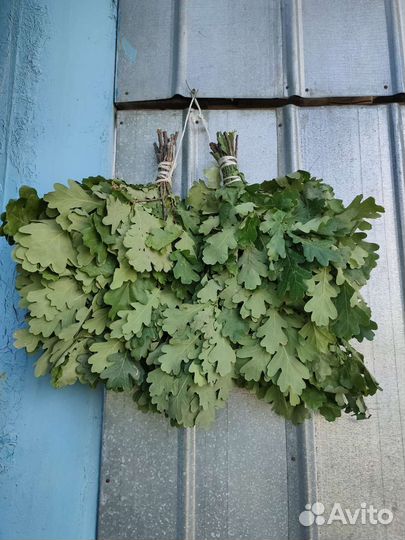 Веники для бани и сауны много