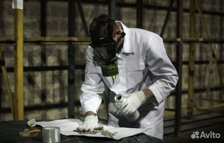 Уничтожение клопов, тараканов, крыс Дезинфекция