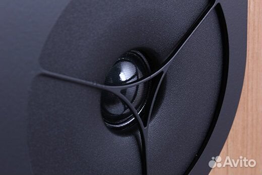 Напольная акустика Rega RX-5 black