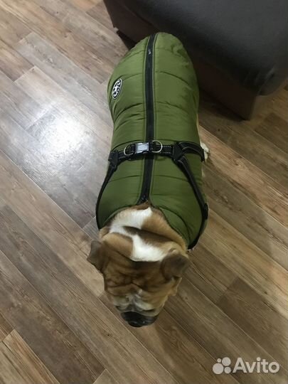 Куртка для собаки
