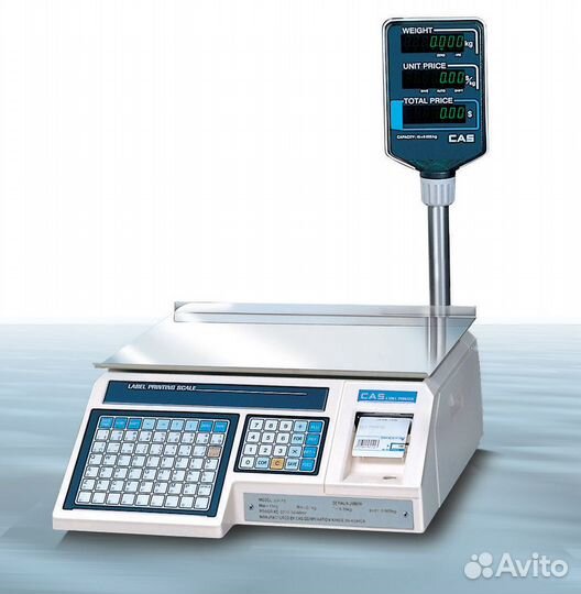 Ремонт печатающих весов CAS LP - 6,15, 30