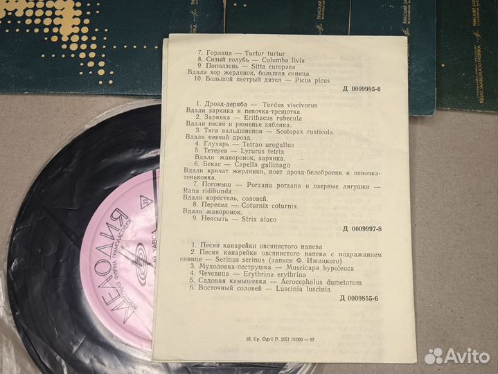 Голоса птиц в природе. Виниловые пластинки