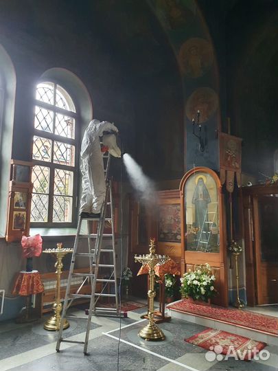 Уничтожение клопов, тараканов, блох, крыс